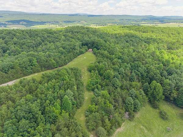 54 Acres of Land for Sale in Max Meadows, Virginia