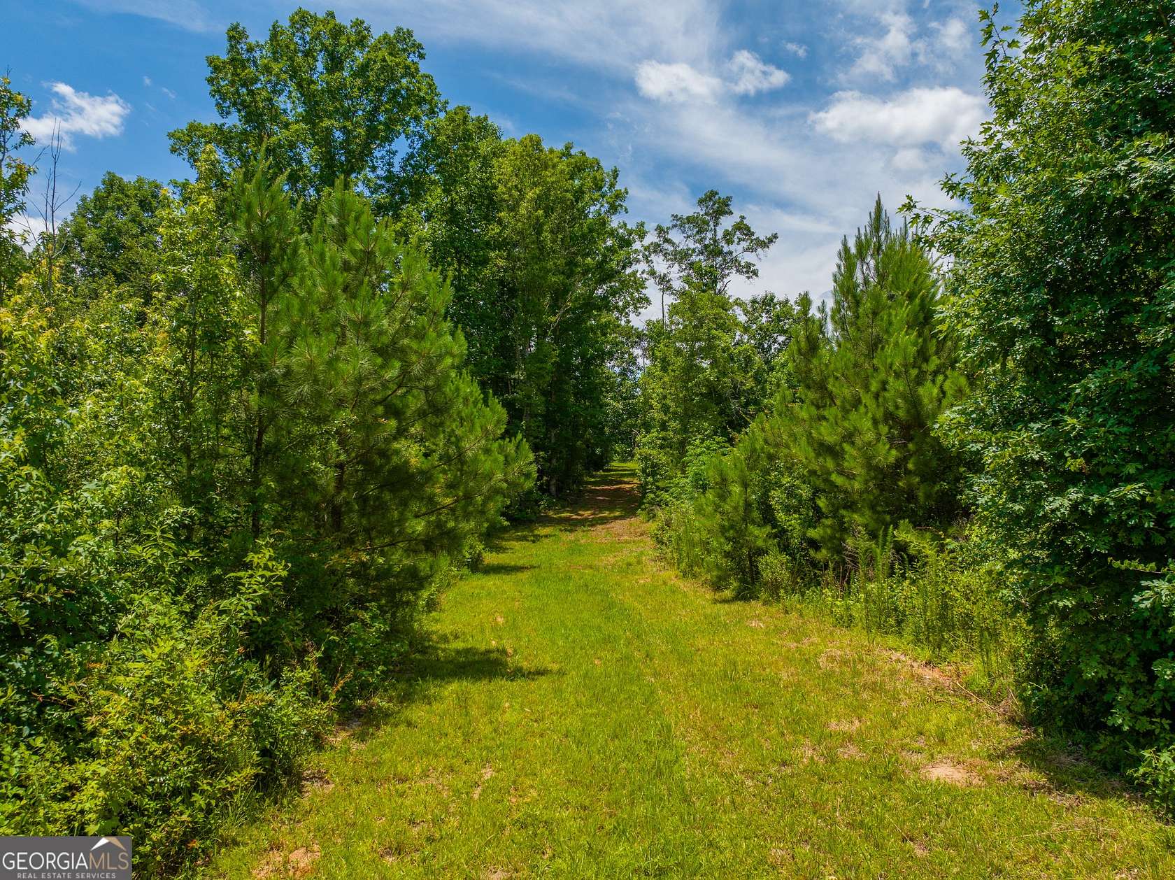 29.3 Acres of Land for Sale in Madison, Georgia