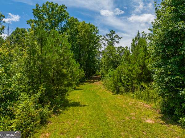 29.3 Acres of Land for Sale in Madison, Georgia