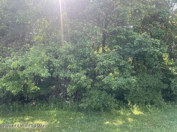 1.17 Acres of Residential Land for Sale in Pocono Summit, Pennsylvania