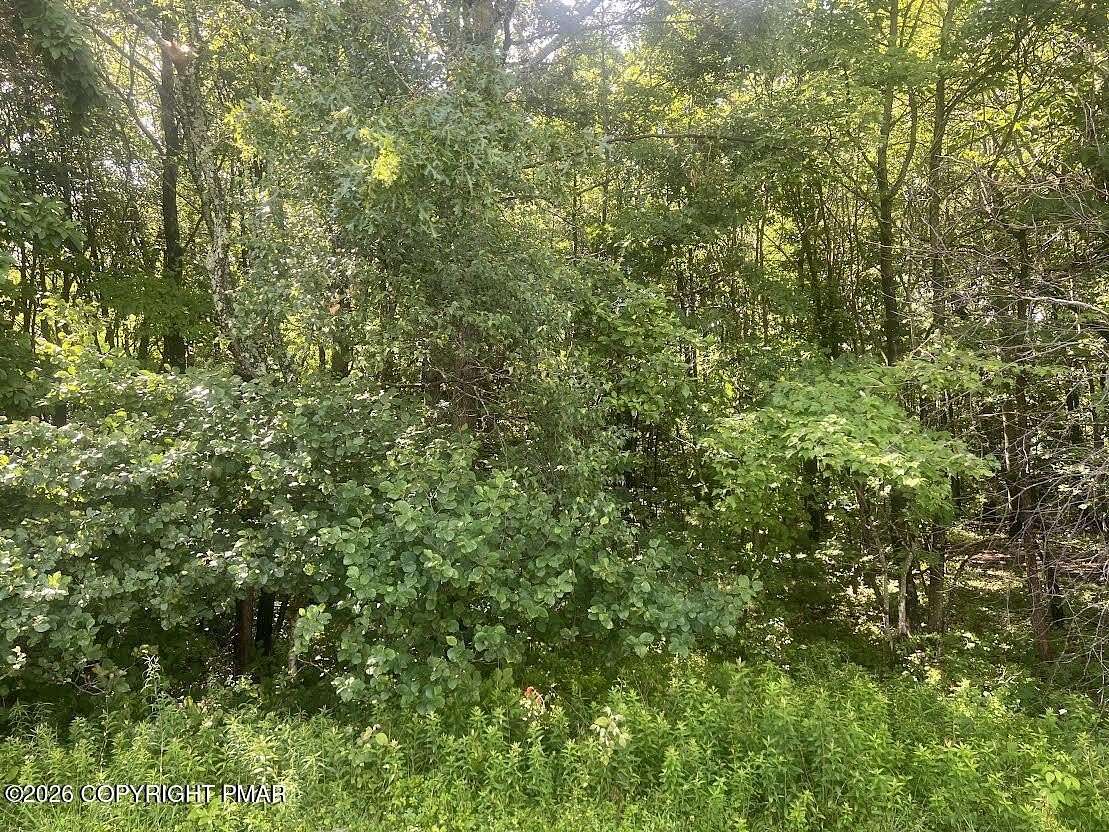 1 Acre of Residential Land for Sale in Long Pond, Pennsylvania