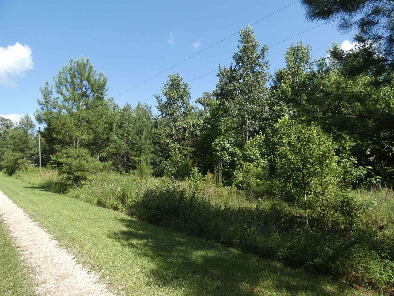 5 Acres of Land for Sale in Monticello, Florida
