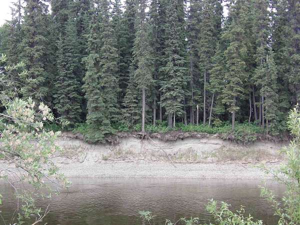 0.3 Acres of Land for Sale in Fairbanks, Alaska