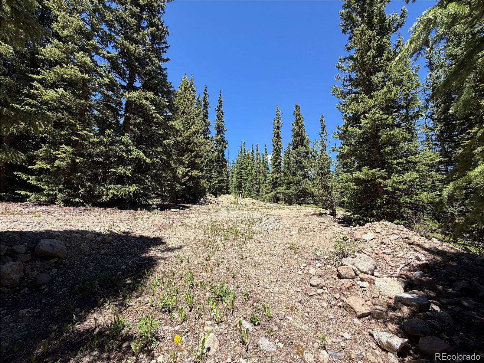 1 Acre of Residential Land for Sale in Fairplay, Colorado