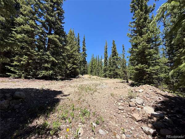 1 Acre of Residential Land for Sale in Fairplay, Colorado
