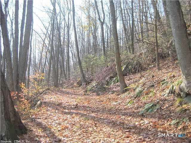 7.75 Acres of Residential Land for Sale in Southington, Connecticut