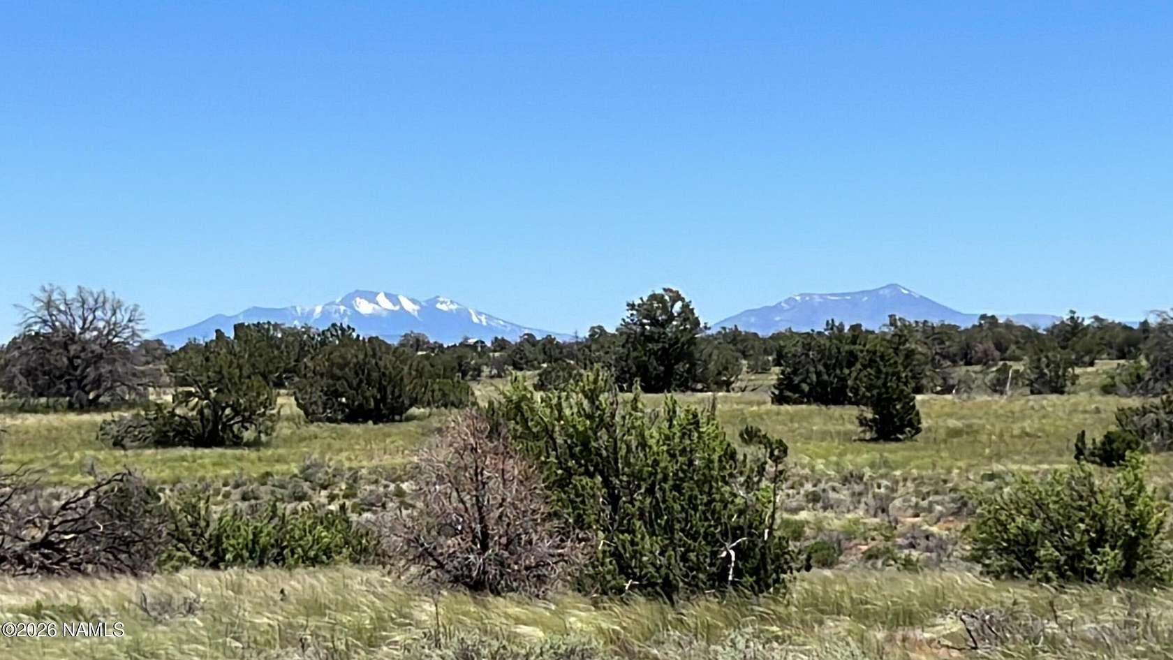 20 Acres of Land for Sale in Williams, Arizona