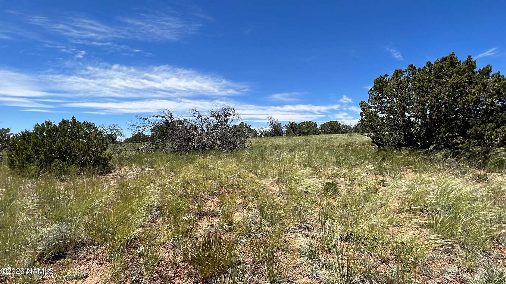 10 Acres of Residential Land for Sale in Williams, Arizona