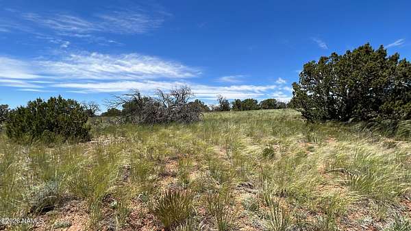 10 Acres of Residential Land for Sale in Williams, Arizona