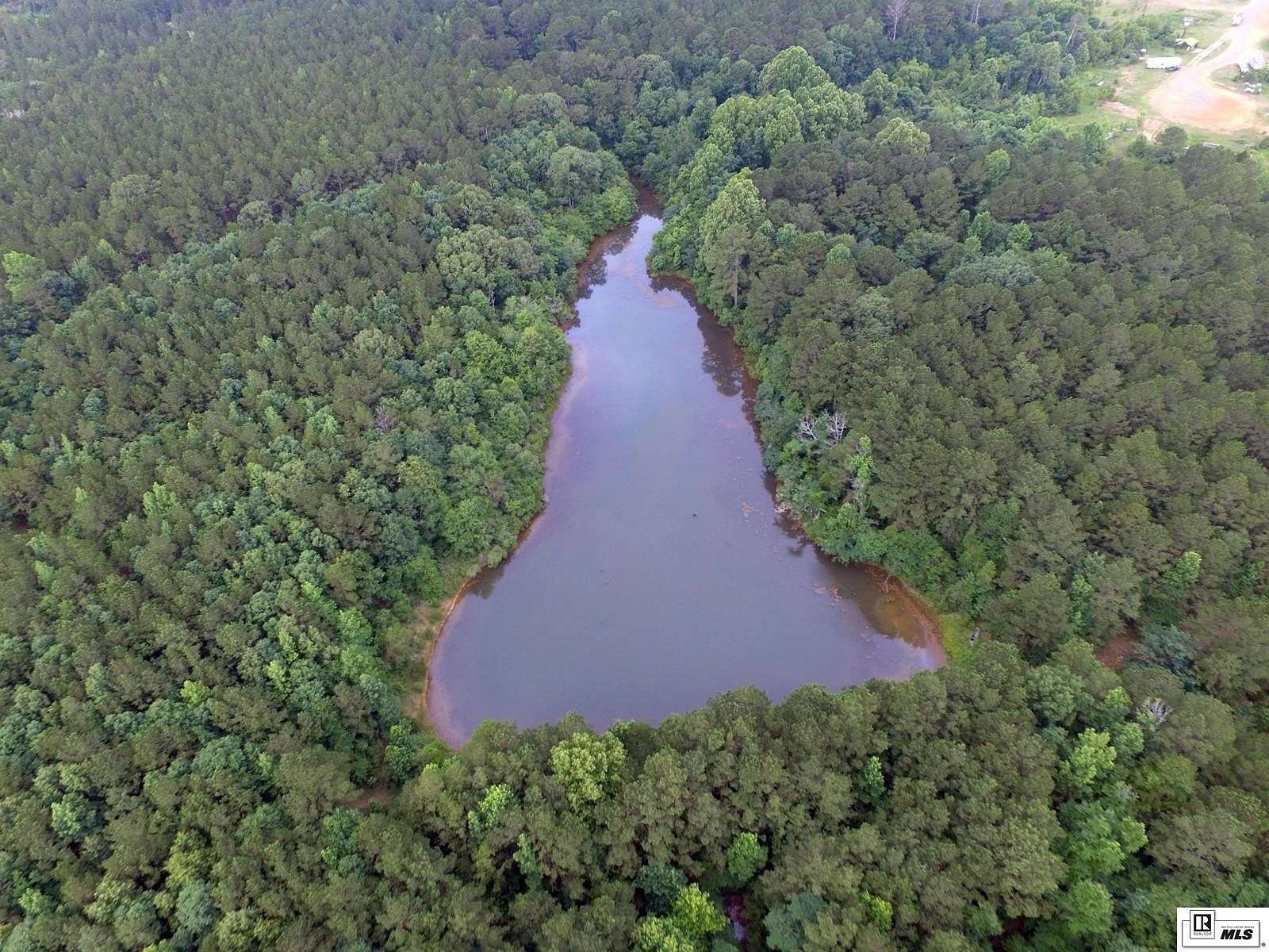 40 Acres of Recreational Land for Sale in Simsboro, Louisiana