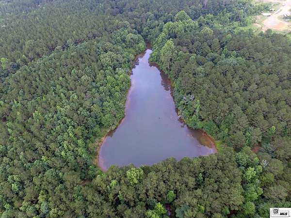 40 Acres of Recreational Land for Sale in Simsboro, Louisiana