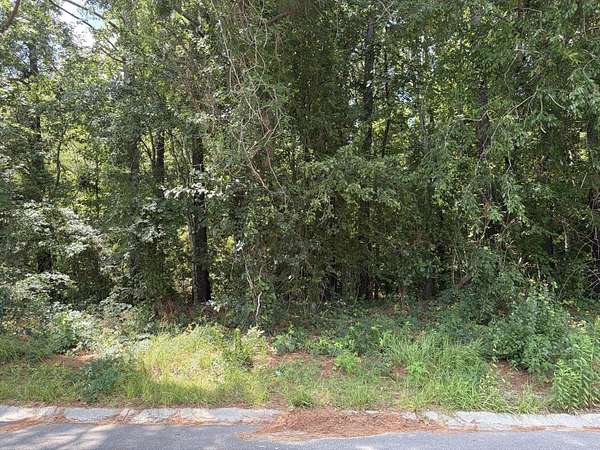 0.49 Acres of Residential Land for Sale in Moncks Corner, South Carolina