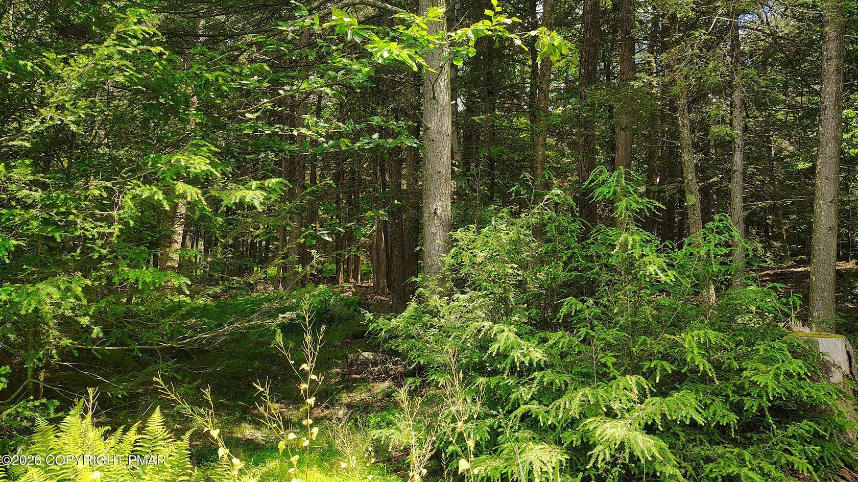 0.31 Acres of Residential Land for Sale in Tobyhanna, Pennsylvania