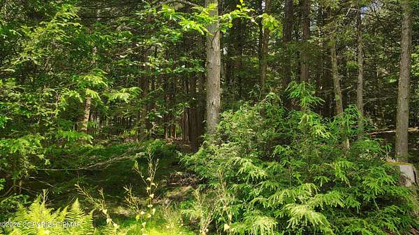 0.31 Acres of Residential Land for Sale in Tobyhanna, Pennsylvania