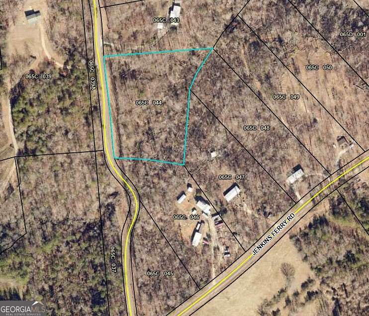 3 Acres of Residential Land for Sale in Martin, Georgia