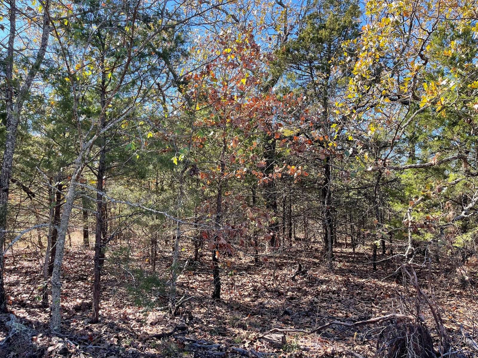 0.52 Acres of Residential Land for Sale in Eufaula, Oklahoma