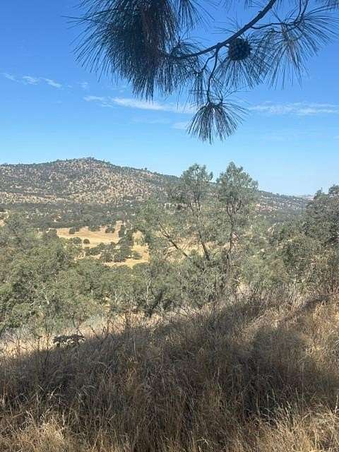 12.7 Acres of Land for Sale in Catheys Valley, California