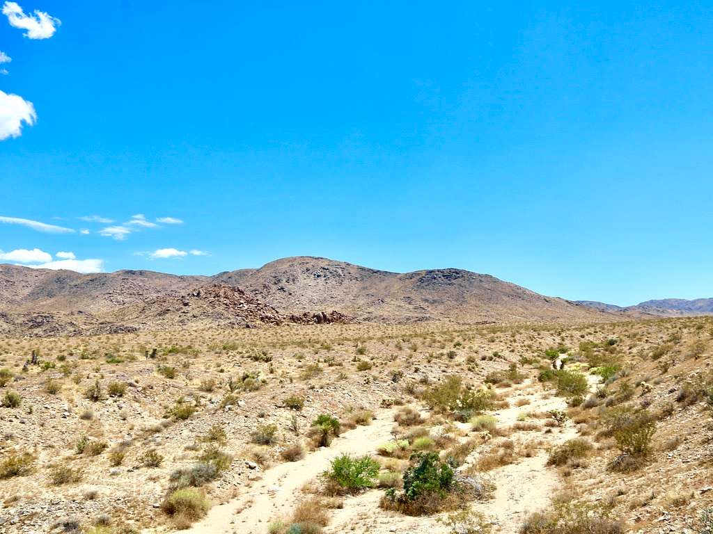1.25 Acres of Residential Land for Sale in Twentynine Palms, California