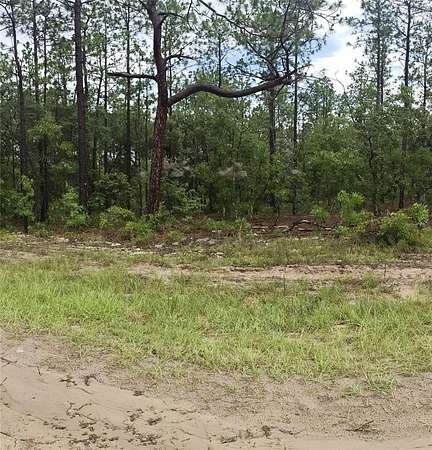 1.16 Acres of Residential Land for Sale in Ocala, Florida