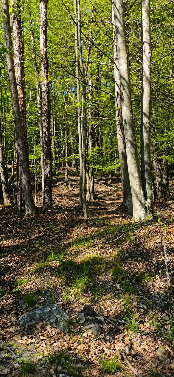 0.22 Acres of Residential Land for Sale in Lake Ariel, Pennsylvania