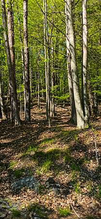 0.22 Acres of Residential Land for Sale in Lake Ariel, Pennsylvania