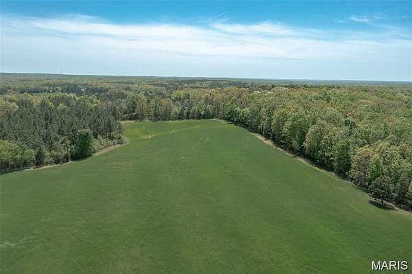 43 Acres of Land for Sale in Glen Allen, Missouri