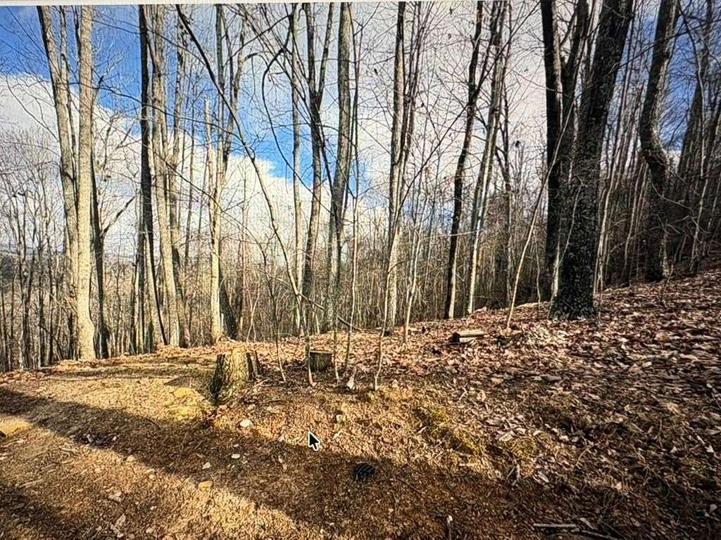 1.56 Acres of Land for Sale in Blairsville, Georgia