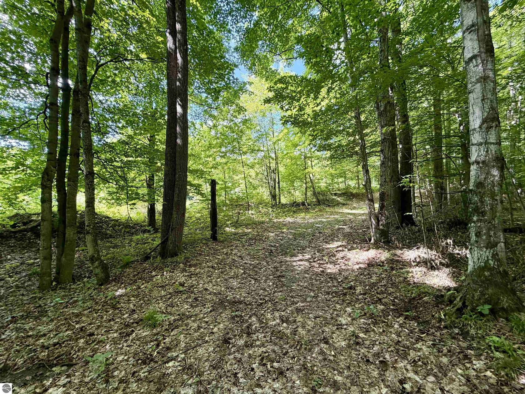 0.85 Acres of Land for Sale in Bellaire, Michigan