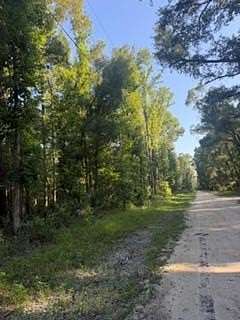 4.77 Acres of Land for Sale in Old Town, Florida