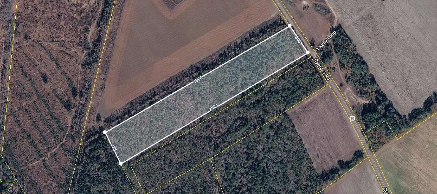 14 Acres of Recreational & Residential Land for Sale in Bishopville, South Carolina