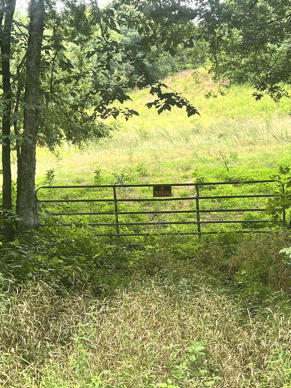 106 Acres of Land with Home for Sale in Frankewing, Tennessee