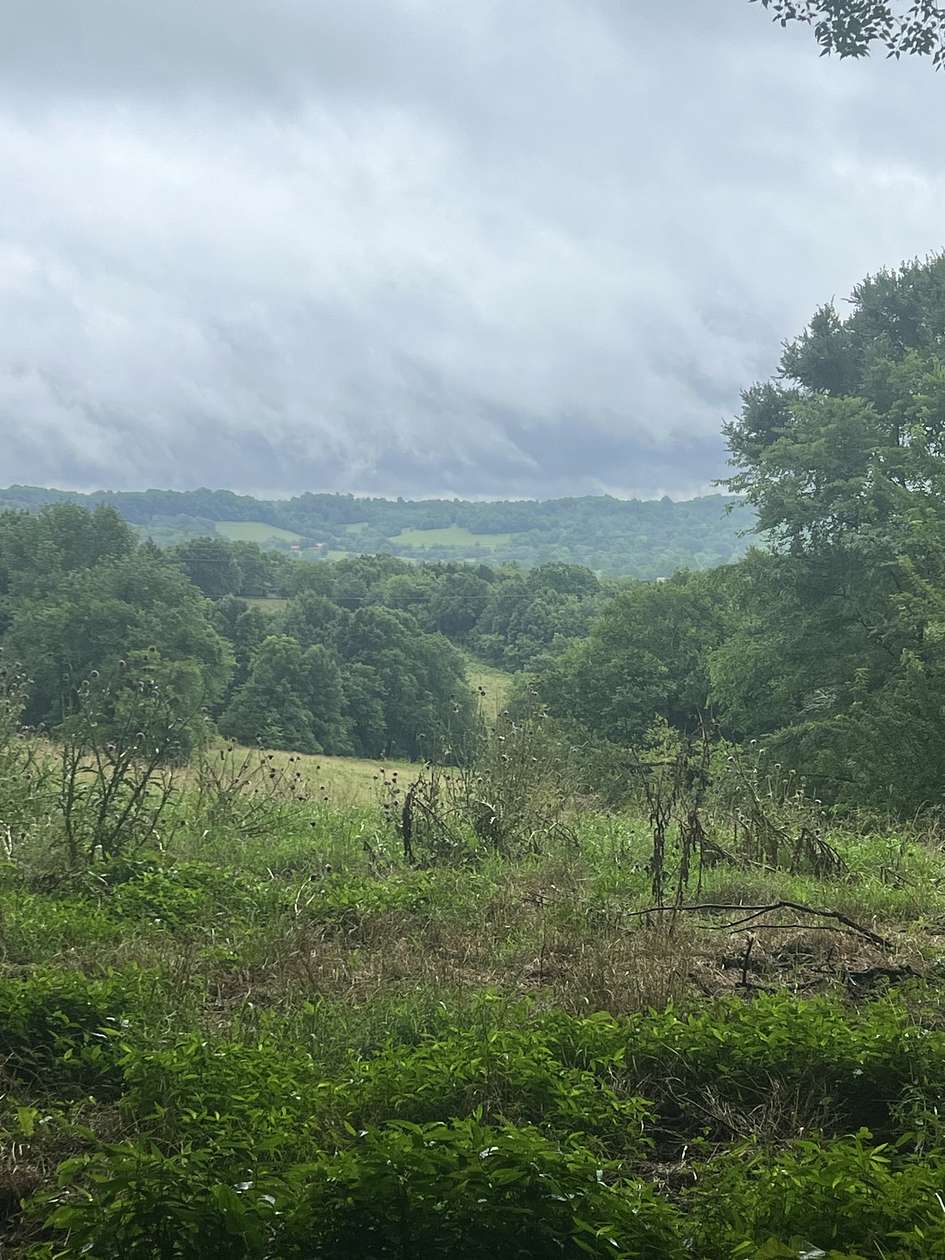 106 Acres of Land with Home for Sale in Frankewing, Tennessee