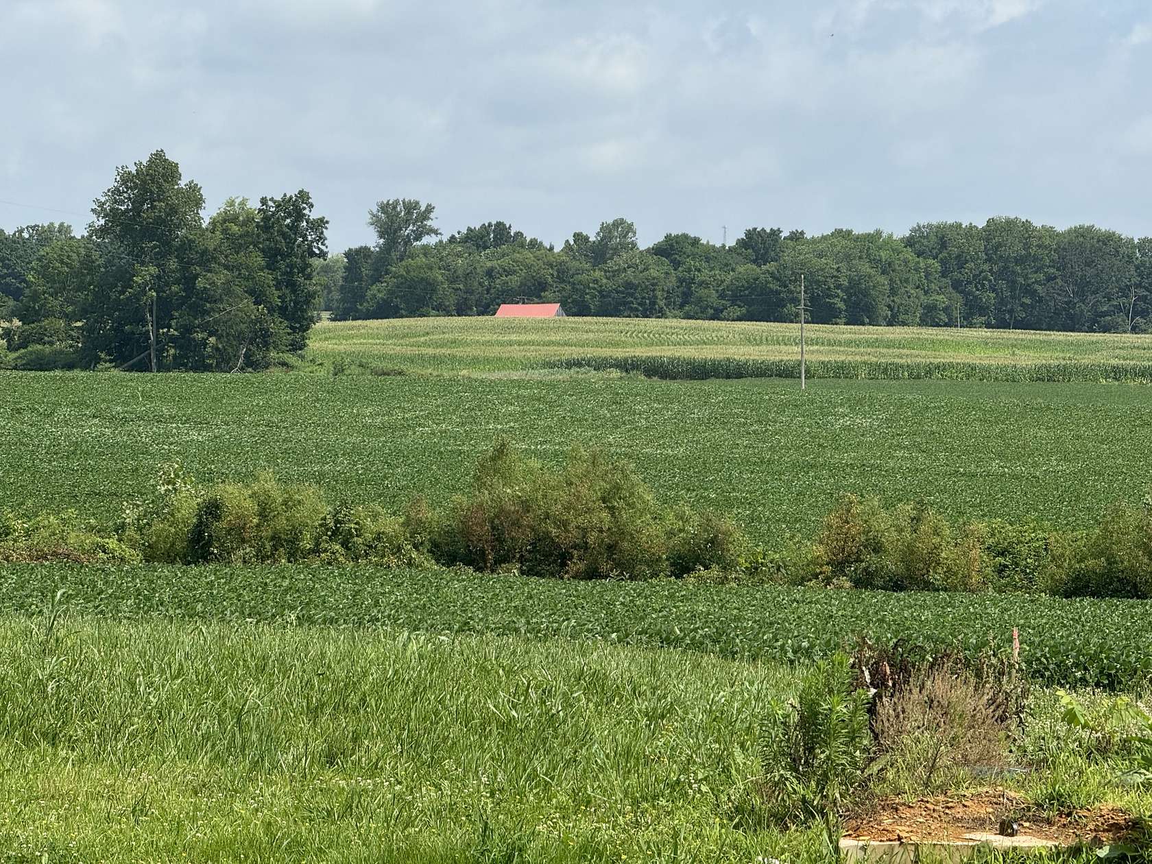 27 Acres of Agricultural & Residential Land for Sale in Hopkinsville, Kentucky