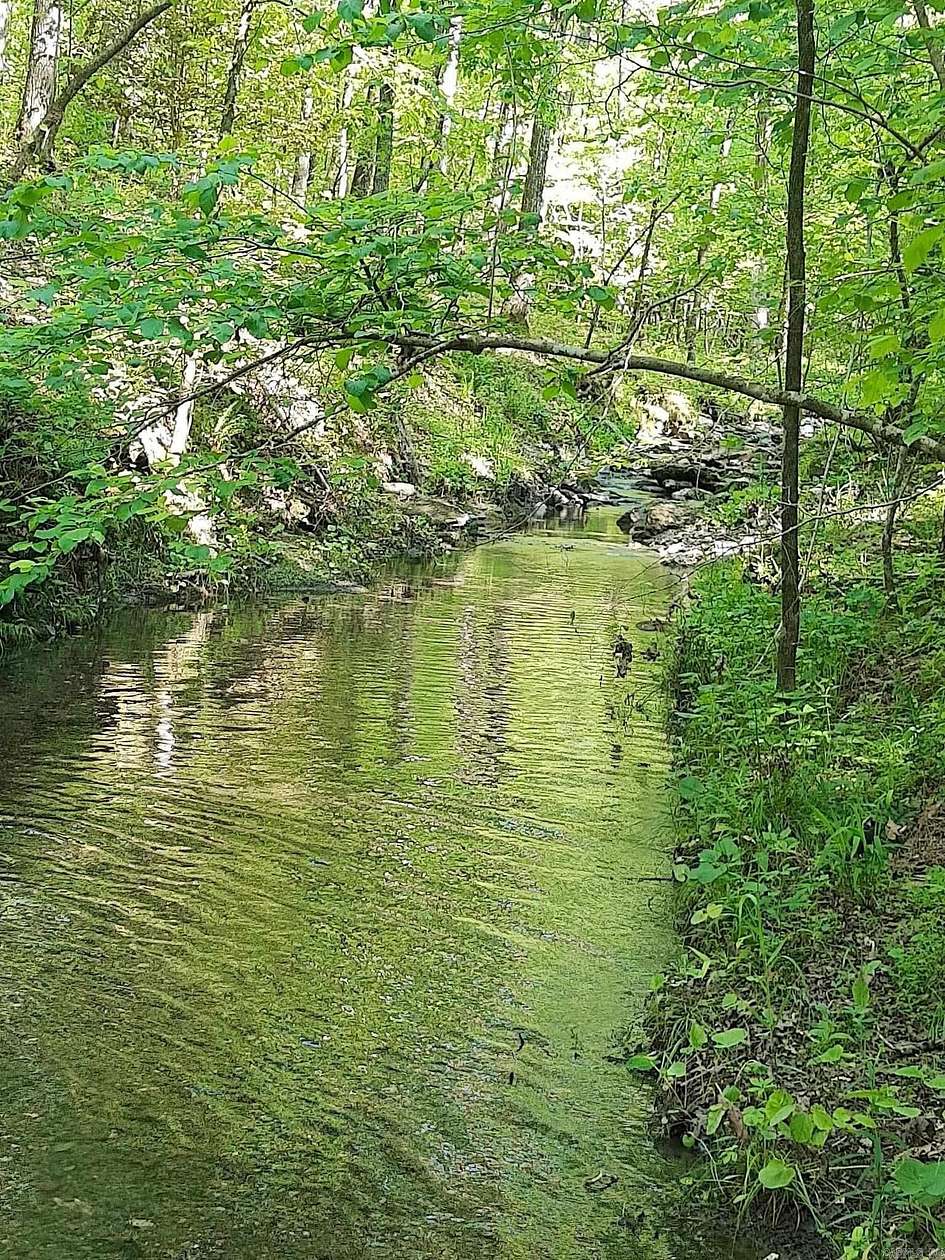 11 Acres of Recreational & Residential Land for Sale in Mount Ida, Arkansas