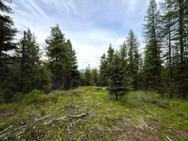 20 Acres of Recreational & Residential Land for Sale in Republic, Washington
