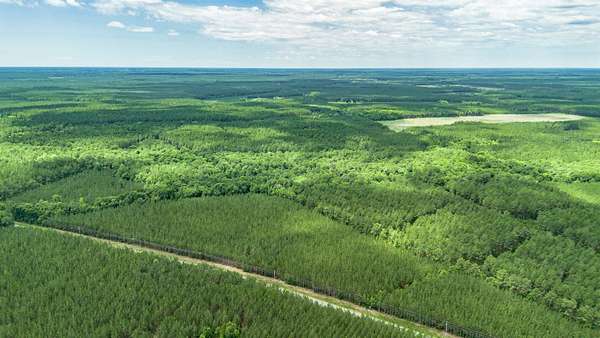 6.5 Acres of Residential Land for Sale in Andrews, South Carolina