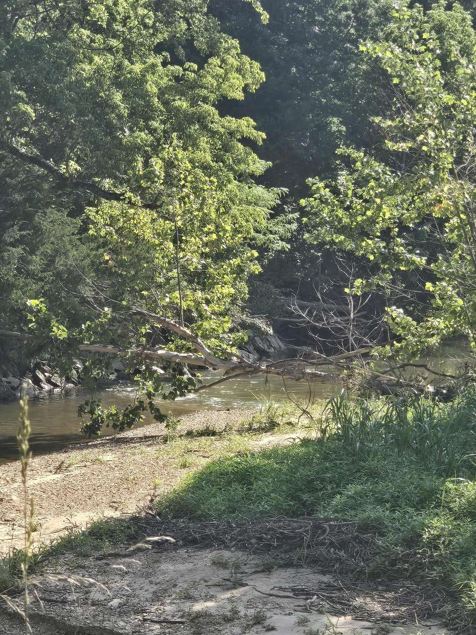 180 Acres of Land for Sale in Mountain Grove, Missouri