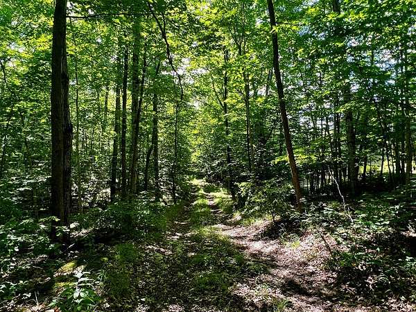 10.3 Acres of Land for Sale in Fish Creek, Wisconsin