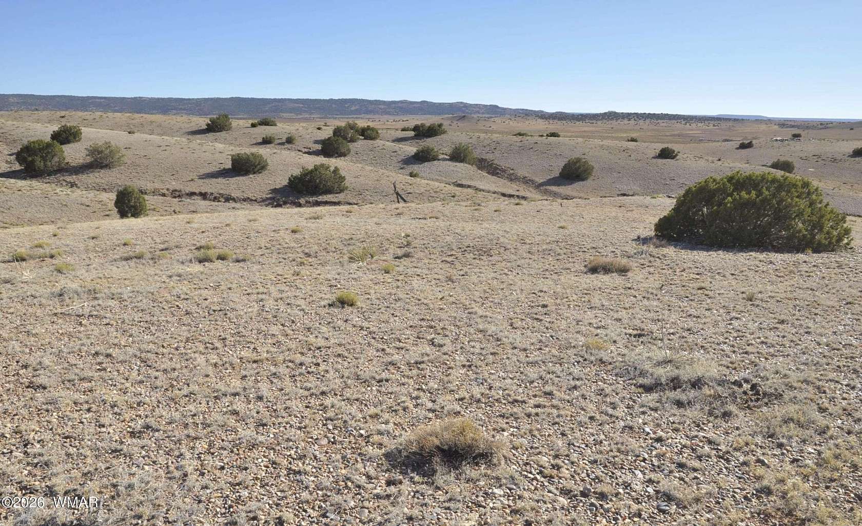42 Acres of Land for Sale in Concho, Arizona