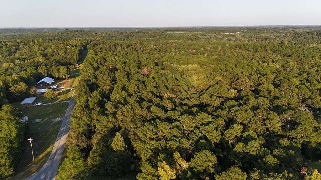 22 Acres of Recreational & Residential Land for Sale in Skipperville, Alabama
