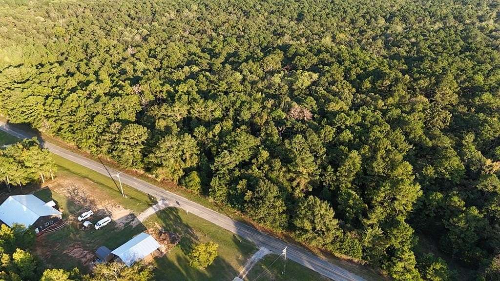 22 Acres of Recreational & Residential Land for Sale in Skipperville, Alabama