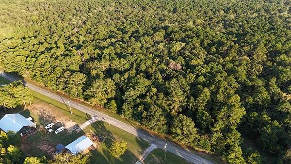 22 Acres of Recreational & Residential Land for Sale in Skipperville, Alabama