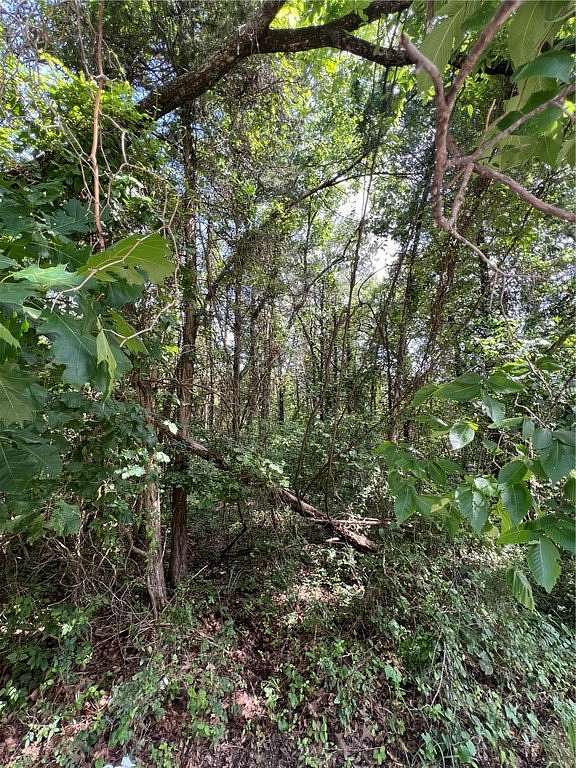 0.17 Acres of Residential Land for Sale in Lead Hill, Arkansas