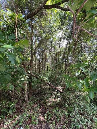 0.17 Acres of Residential Land for Sale in Lead Hill, Arkansas