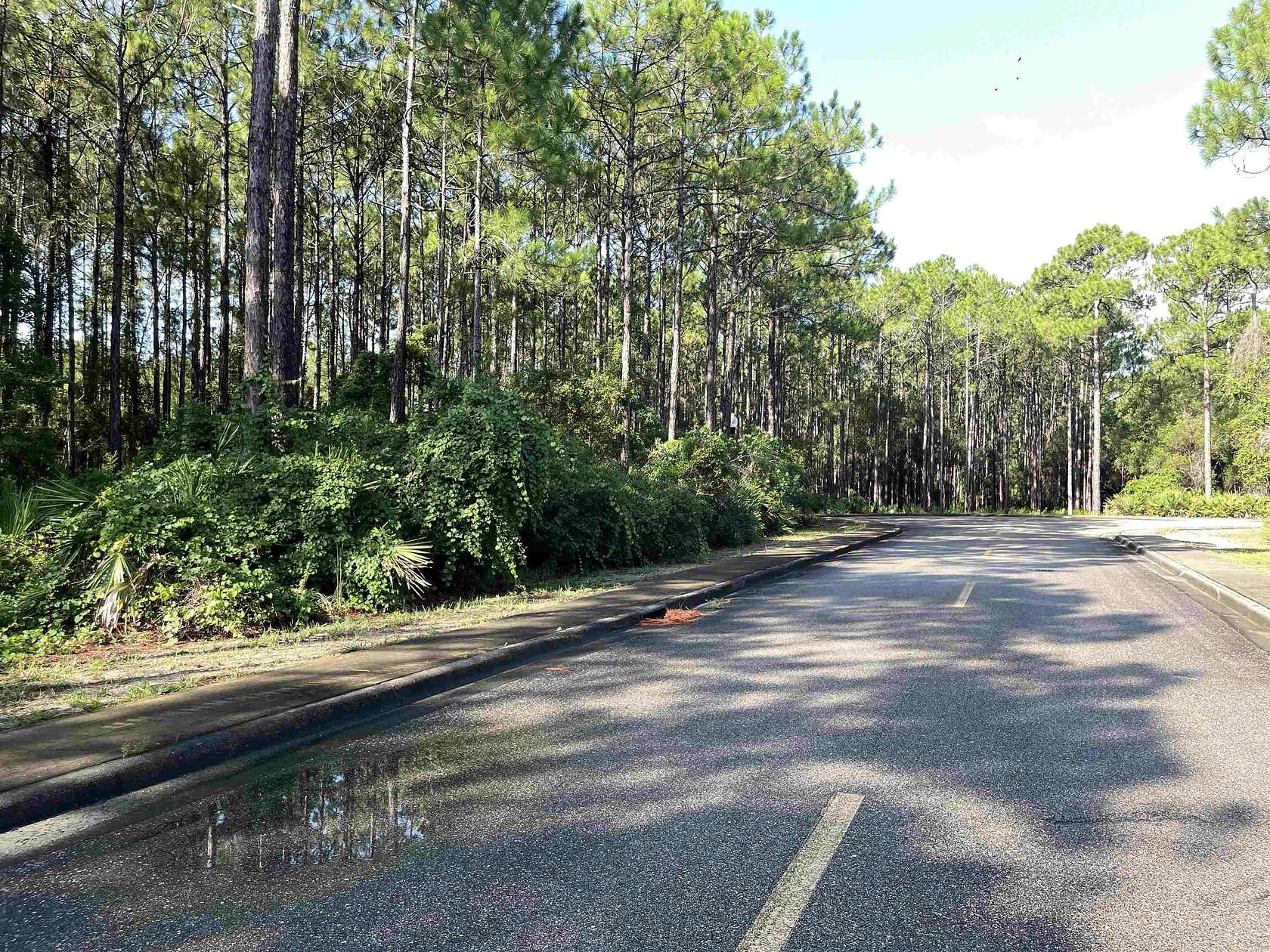 0.22 Acres of Residential Land for Sale in Carrabelle, Florida