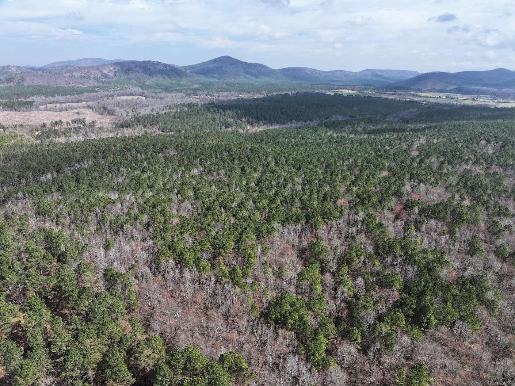 40 Acres of Recreational & Residential Land for Sale in Langley, Arkansas
