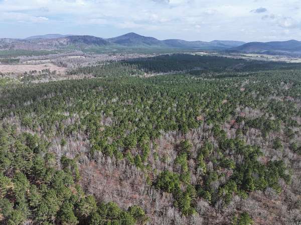 40 Acres of Recreational & Residential Land for Sale in Langley, Arkansas