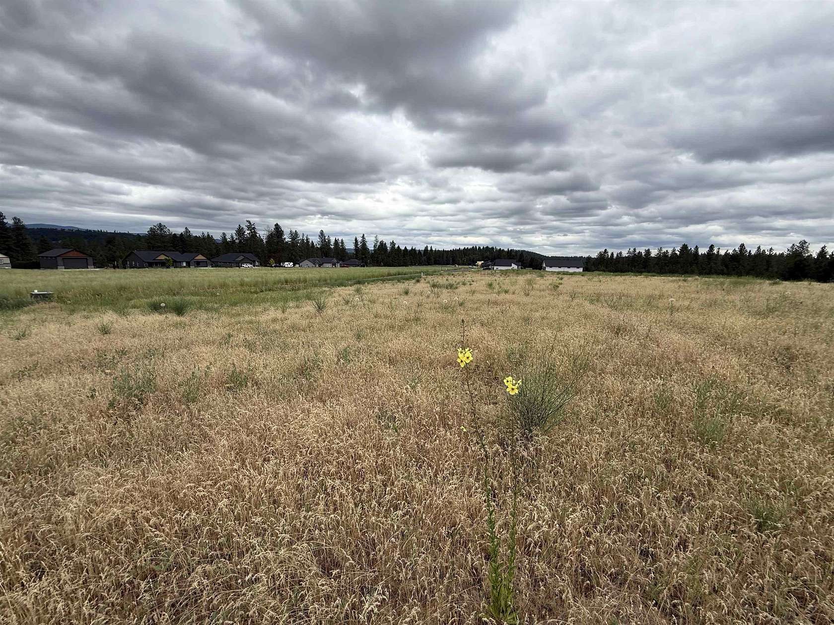 1.75 Acres of Residential Land for Sale in Chattaroy, Washington