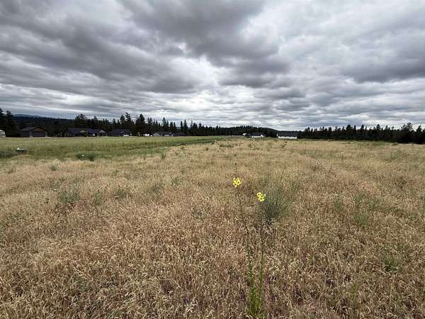 1.75 Acres of Residential Land for Sale in Chattaroy, Washington