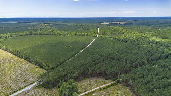 4.65 Acres of Residential Land for Sale in Andrews, South Carolina